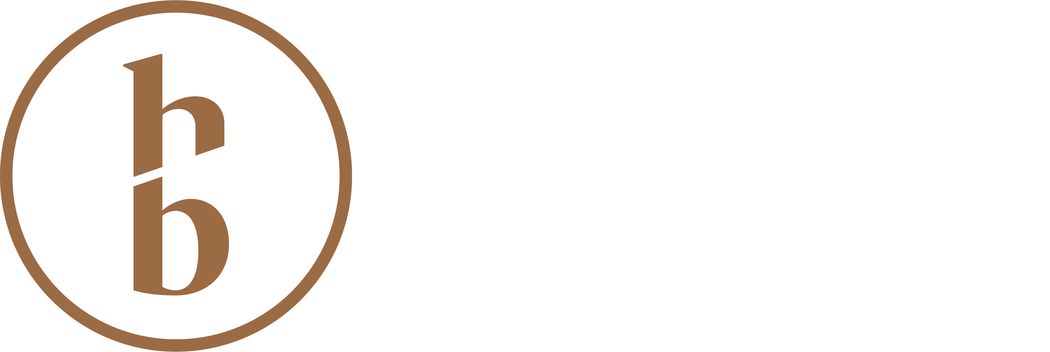 Homerun Brokers Shop